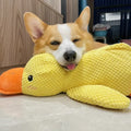 Calming Duck Toy