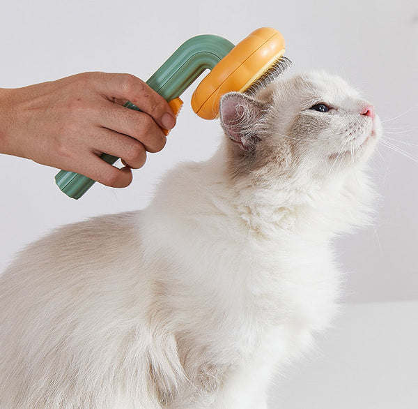 Massage Brush - Cleans Pet Hair