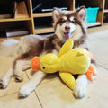 Calming Duck Toy